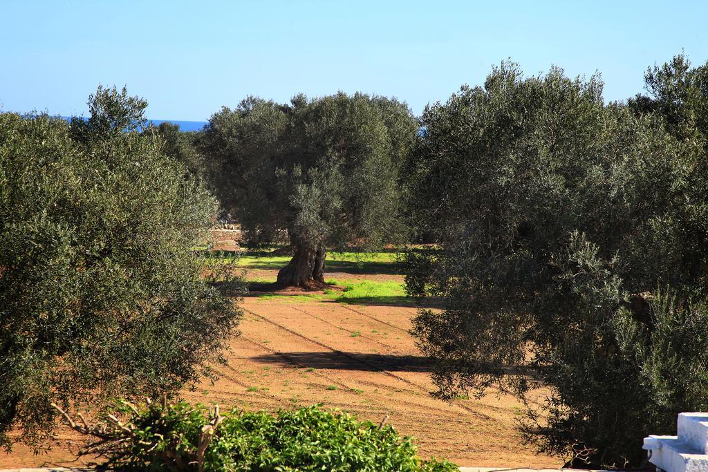 Masseria Pittore サヴェッレトリ エクステリア 写真
